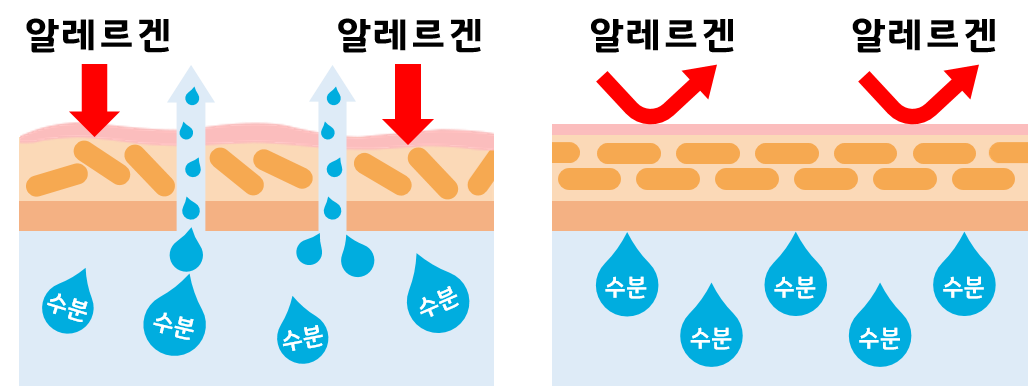 피부장벽