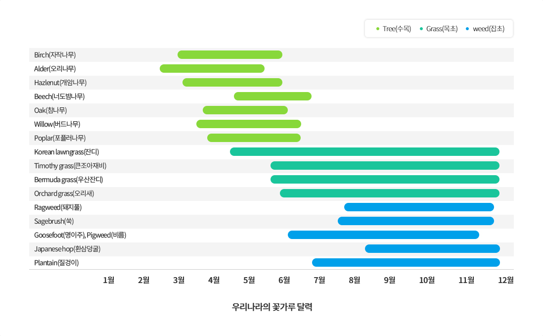 우리나라의 꽃가루 달력 이미지